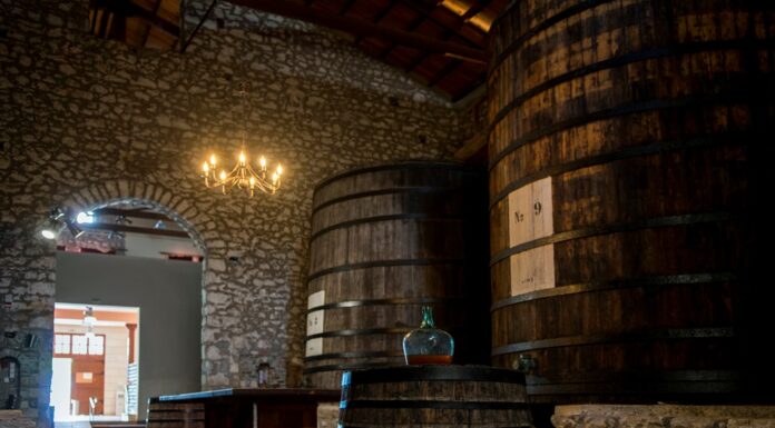 ΙΣΤΟΡΙΑ, ΠΑΡΑΔΟΣΗ, ΓΝΩΣΗ – Όλη η διαδρομή της αμπελοκαλλιέργειας στο ΜΟΥΣΕΙΟ ΟΙΝΟΥ του ΕΟΣ Σάμου