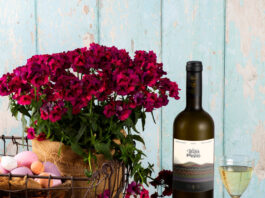 Στης Σάμου τις… «Ψηλές Κορφές»