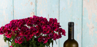 Στης Σάμου τις… «Ψηλές Κορφές»