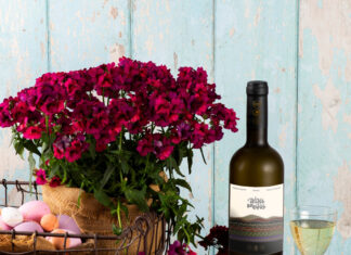 Στης Σάμου τις… «Ψηλές Κορφές»