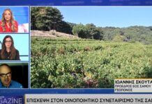 Η ΝΑΥΤΕΜΠΟΡΙΚΗ TV ΤΙΜΑ TO ΣΑΜΙΑΚΟ ΑΜΠΕΛΩΝΑ