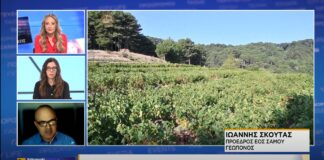 Η ΝΑΥΤΕΜΠΟΡΙΚΗ TV ΤΙΜΑ TO ΣΑΜΙΑΚΟ ΑΜΠΕΛΩΝΑ