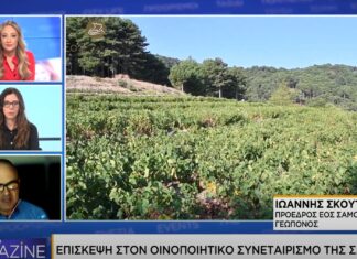 Η ΝΑΥΤΕΜΠΟΡΙΚΗ TV ΤΙΜΑ TO ΣΑΜΙΑΚΟ ΑΜΠΕΛΩΝΑ