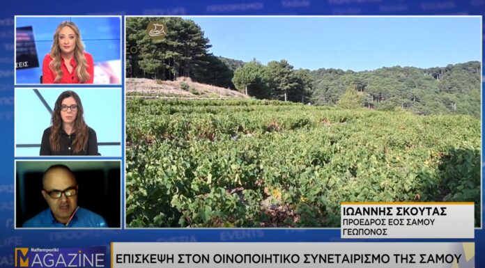 Η ΝΑΥΤΕΜΠΟΡΙΚΗ TV ΤΙΜΑ TO ΣΑΜΙΑΚΟ ΑΜΠΕΛΩΝΑ
