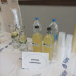 ΣΠΙΤΙΚΗ ΛΕΜΟΝΑΔΑ_n