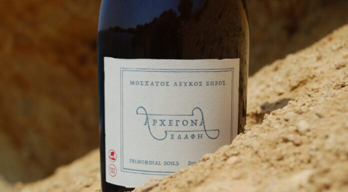 ΑΡΧEΓΟΝΑ ΕΔΑΦΗ: ΜΟΝΑΔΙΚΗ ΟΙΝΙΚΗ ΔΗΜΙΟΥΡΓΙΑ