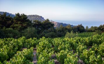 ΕΠΕΙΓΟΥΣΑ ΑΝΑΚΟΙΝΩΣΗ ΓΙΑ ΨΕΚΑΣΜΟ ΚΑΤΑ ΕΥΔΕΜΙΔΑΣ