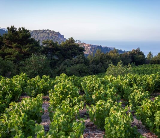 ΕΠΕΙΓΟΥΣΑ ΑΝΑΚΟΙΝΩΣΗ ΓΙΑ ΨΕΚΑΣΜΟ ΚΑΤΑ ΕΥΔΕΜΙΔΑΣ