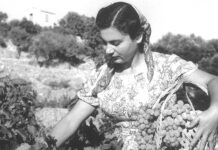 ΕΓΚΥΚΛΙΟΣ ΤΡΥΓΗΤΟΥ 2023 Για τα Μέλη του Συνεταιρισμού