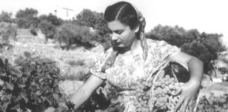 ΕΓΚΥΚΛΙΟΣ ΤΡΥΓΗΤΟΥ 2023 Για τα Μέλη του Συνεταιρισμού