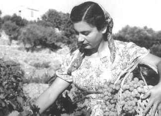 ΕΓΚΥΚΛΙΟΣ ΤΡΥΓΗΤΟΥ 2023 Για τα Μέλη του Συνεταιρισμού