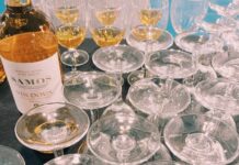 Αποχαιρετούμε το καλοκαίρι με Samos Cocktails στο λιμάνι Καρλοβάσου