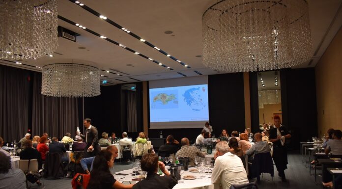 Αρχέγονα Εδάφη: Κρασί από πατρογονικά αμπέλια