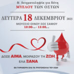 RGB-A3-Aimodosia-2023 (5)