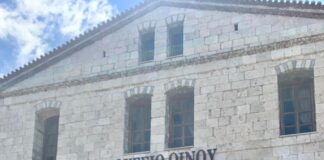 ΧΡΙΣΤΟΥΓΕΝΝΙΑΤΙΚΗ ΕΘΕΛΟΝΤΙΚΗ ΑΙΜΟΔΟΣΙΑ ΣΤΟ ΜΟΥΣΕΙΟ ΟΙΝΟΥ