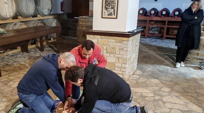 ΣΕΜΙΝΑΡΙΟ ΒΑΣΙΚΗΣ ΥΠΟΣΤΗΡΙΞΗΣ ΤΗΣ ΖΩΗΣ