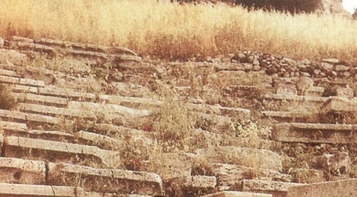 ΕΦΥΓΕ ΑΠΟ ΚΟΝΤΑ ΜΑΣ “Η ΚΥΡΑ ΤΩΝ ΑΜΠΕΛΙΩΝ” ΣΤΑΥΡΟΥΛΑ ΚΟΥΡΑΚΟΥ