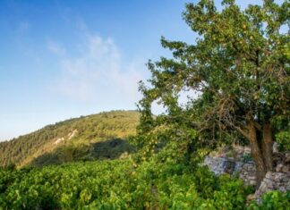 ΑΝΑΚΟΙΝΩΣΗ ΨΕΚΑΣΜΟΥ ΕΥΔΕΜΙΔΑΣ