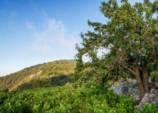 ΑΝΑΚΟΙΝΩΣΗ ΨΕΚΑΣΜΟΥ ΕΥΔΕΜΙΔΑΣ