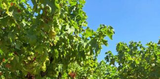 Τέλος Παραλαβής 2024