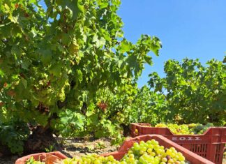 Τέλος Παραλαβής 2024