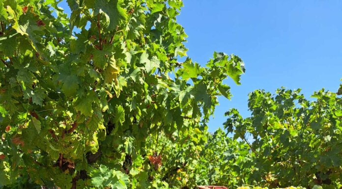 Τέλος Παραλαβής 2024