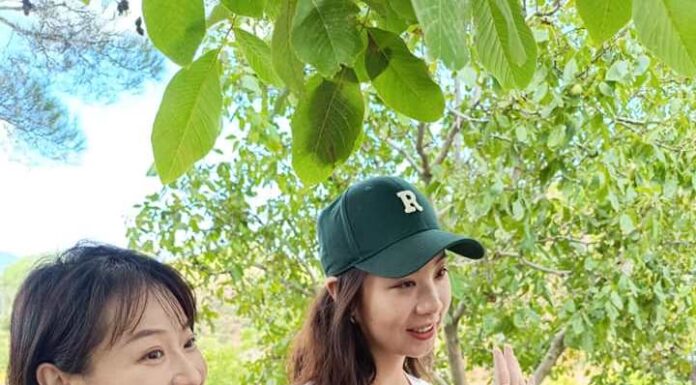 ΚΙΝΕΖΟΙ ΕΙΣΑΓΩΓΕΙΣ «ΜΕΘΥΣΑΝ» ΜΕ ΣΑΜΙΩΤΙΚΟ ΜΟΣΧΑΤΟ