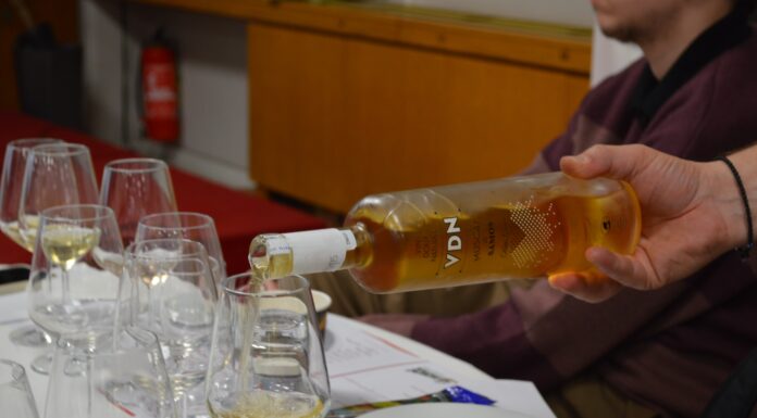 ΟΙ ΝΕΟΙ SOMMELIER ΔΙΔΑΣΚΟΝΤΑΙ ΣΑΜΙΩΤΙΚΑ ΚΡΑΣΙΑ