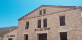 ΟΛΗ Η ΙΣΤΟΡΙΚΗ ΣΥΝΕΧΕΙΑ ΤΗΣ ΚΑΛΛΙΕΡΓΕΙΑΣ ΤΟΥ ΜΟΣΧΑΤΟΥ ΣΤΟ ΜΟΥΣΕΙΟ ΟΙΝΟΥ ΤΟΥ ΕΟΣ Σάμου