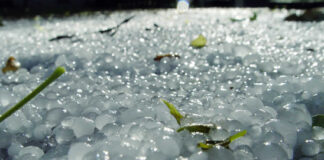 Αιτήσεις αποζημίωσης ΕΛΓΑ από χαλαζόπτωση