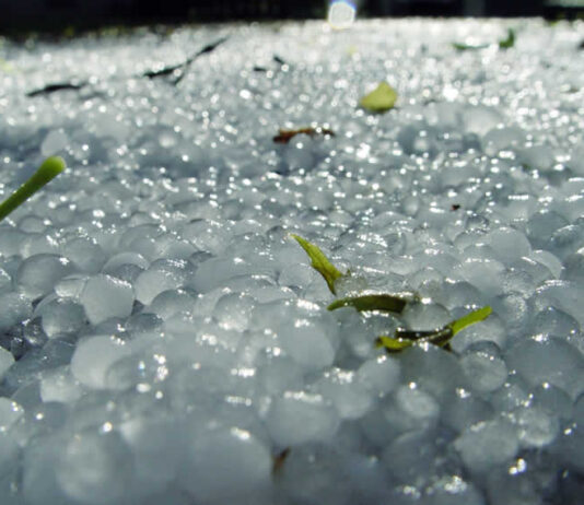 Αιτήσεις αποζημίωσης ΕΛΓΑ από χαλαζόπτωση
