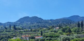 ΑΝΑΚΟΙΝΩΣΗ για αναδιάρθωση και μετατροπή αμπελώνων 2025