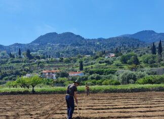 ΑΝΑΚΟΙΝΩΣΗ για αναδιάρθωση και μετατροπή αμπελώνων 2025