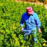 ΑΝΑΚΟΙΝΩΣΗ ΨΕΚΑΣΜΟΥ ΕΥΔΕΜΙΔΑΣ ΔΥΤΙΚΗΣ ΣΑΜΟΥ