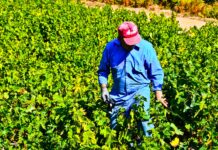 Δ.Τ Η ΕΘΕΑΣ ΣΤΗΡΙΖΕΙ ΤΟ ΣΥΝΕΤΑΙΡΙΣΜΟ ΤΗΣ ΣΑΜΟΥ