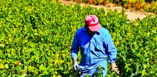 ΕΠΕΙΓΟΥΣΑ ΑΝΑΚΟΙΝΩΣΗ ΨΕΚΑΣΜΟΥ ΕΥΔΕΜΙΔΑΣ ΠΕΡΟΝΟΣΠΟΡΟΣ ΩΙΔΙΟ