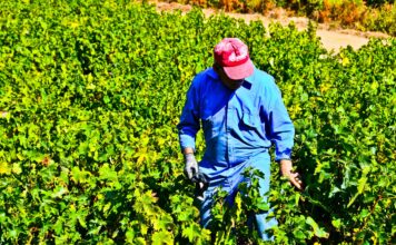 ΕΠΕΙΓΟΥΣΑ ΑΝΑΚΟΙΝΩΣΗ ΨΕΚΑΣΜΟΥ ΕΥΔΕΜΙΔΑΣ ΠΕΡΟΝΟΣΠΟΡΟΣ ΩΙΔΙΟ