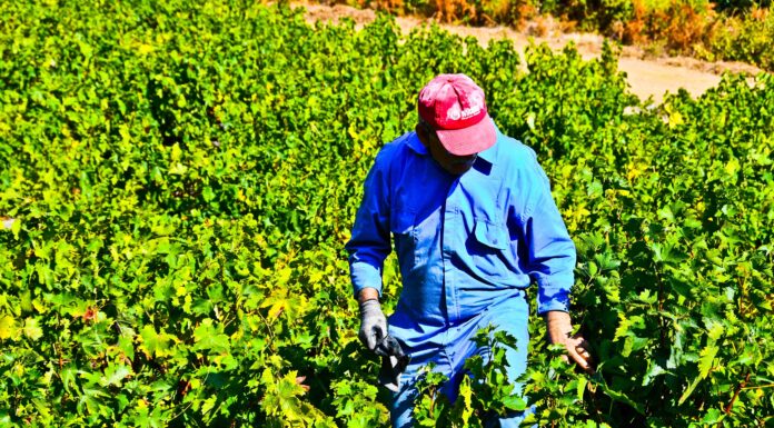 ΕΠΕΙΓΟΥΣΑ ΑΝΑΚΟΙΝΩΣΗ ΨΕΚΑΣΜΟΥ ΕΥΔΕΜΙΔΑΣ ΠΕΡΟΝΟΣΠΟΡΟΣ ΩΙΔΙΟ