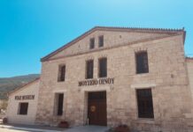 Ο ΚΕΡΚΗΣ ΣΥΝΑΝΤΑ ΤΟ ΠΑΪΚΟ ΣΤΟ ΜΟΥΣΕΙΟ ΟΙΝΟΥ ΕΟΣ ΣΑΜΟΥ