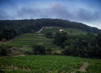 ΔΕΞΑΜΕΝΕΣ ΠΡΟΣ ΔΙΑΘΕΣΗ