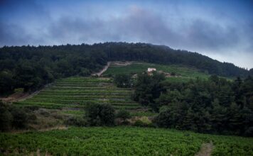 ΔΕΞΑΜΕΝΕΣ ΠΡΟΣ ΔΙΑΘΕΣΗ