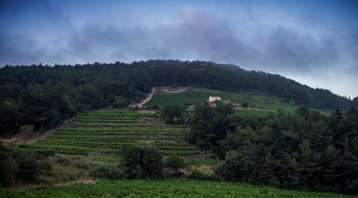 ΔΕΞΑΜΕΝΕΣ ΠΡΟΣ ΔΙΑΘΕΣΗ