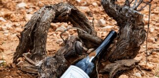 Η Κρήτη βάζει τη φωτιά, η Σάμος το μοσχάτο