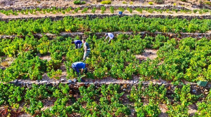 ANAKOINΩΣΗ ΨΕΚΑΣΜΟΥ ΕΥΔΕΜΙΔΑΣ