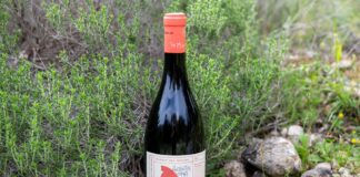 ΕΡΗΜΙΤΗΣ: Στα 10 ΚΑΛΥΤΕΡΑ ΦΥΣΙΚΑ ΚΡΑΣΙΑ