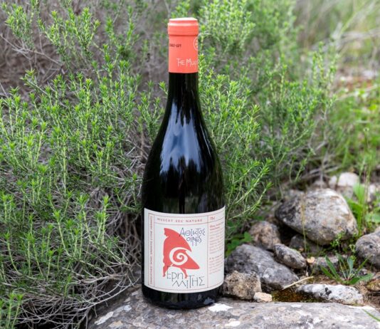 ΕΡΗΜΙΤΗΣ: Στα 10 ΚΑΛΥΤΕΡΑ ΦΥΣΙΚΑ ΚΡΑΣΙΑ