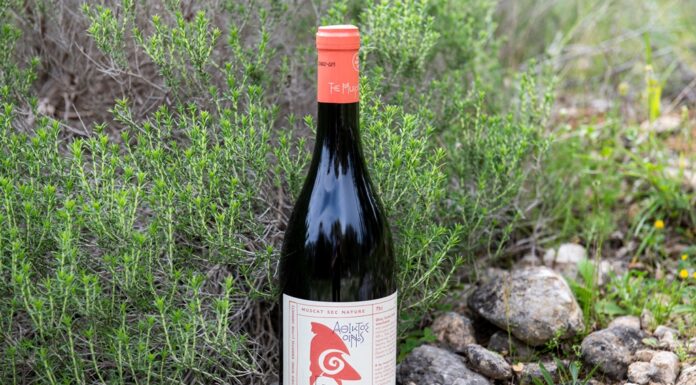 ΕΡΗΜΙΤΗΣ: Στα 10 ΚΑΛΥΤΕΡΑ ΦΥΣΙΚΑ ΚΡΑΣΙΑ