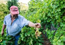 Ανακοίνωση της ΕΘΕΑΣ για το νέο πολυετές δημοσιονομικό πλαίσιο