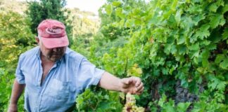 Ανακοίνωση της ΕΘΕΑΣ για το νέο πολυετές δημοσιονομικό πλαίσιο