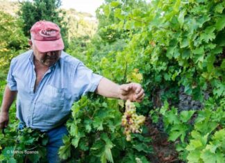 Ανακοίνωση της ΕΘΕΑΣ για το νέο πολυετές δημοσιονομικό πλαίσιο